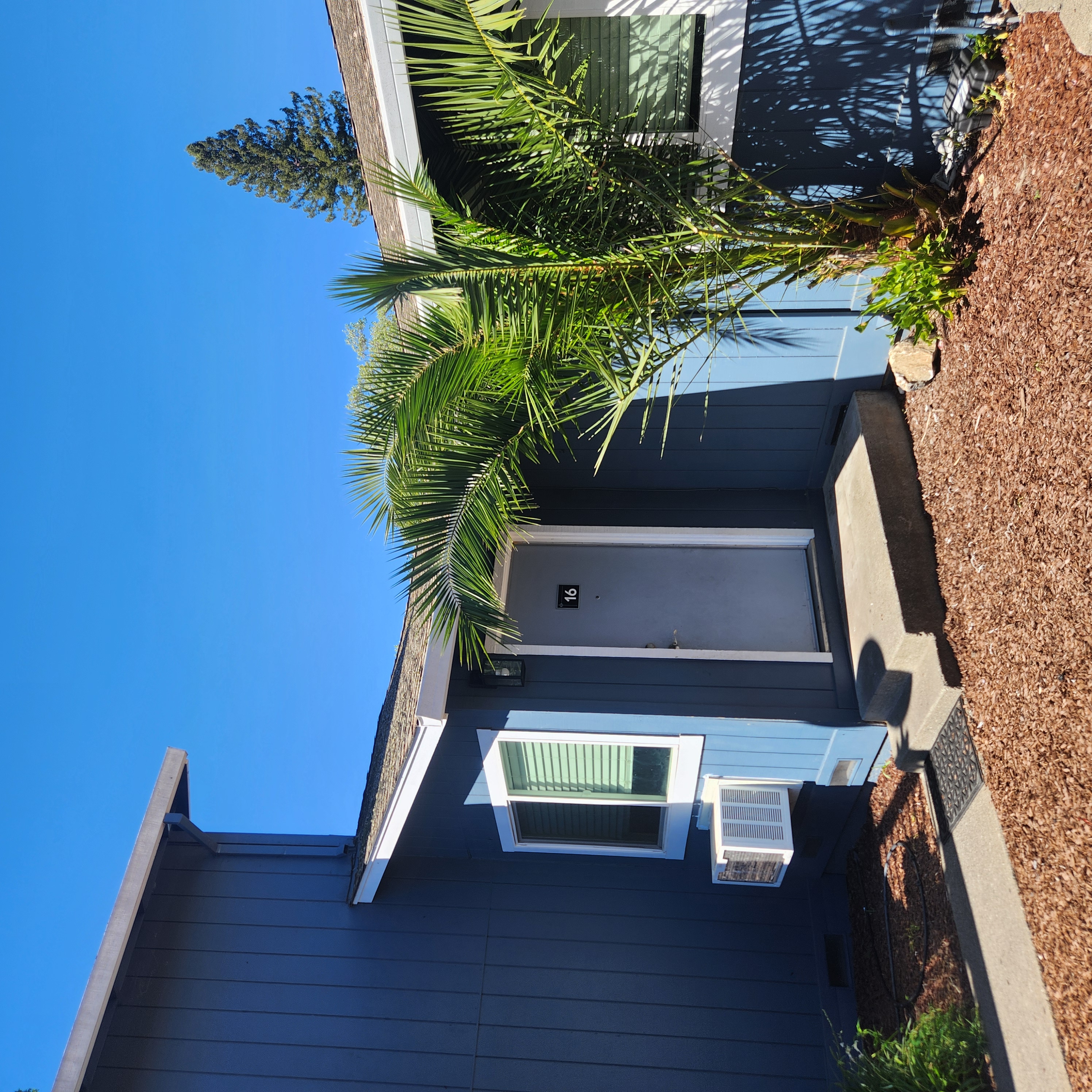 647 Dutton Avenue - 16